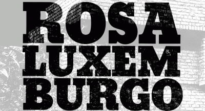 logo Rosa Luxemburgo
